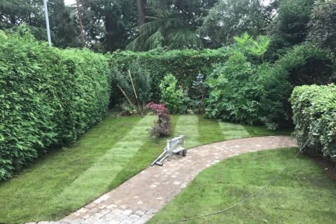 Landscaping Contractors Epsom