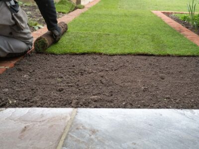 Artificial grass cleaner Bromley