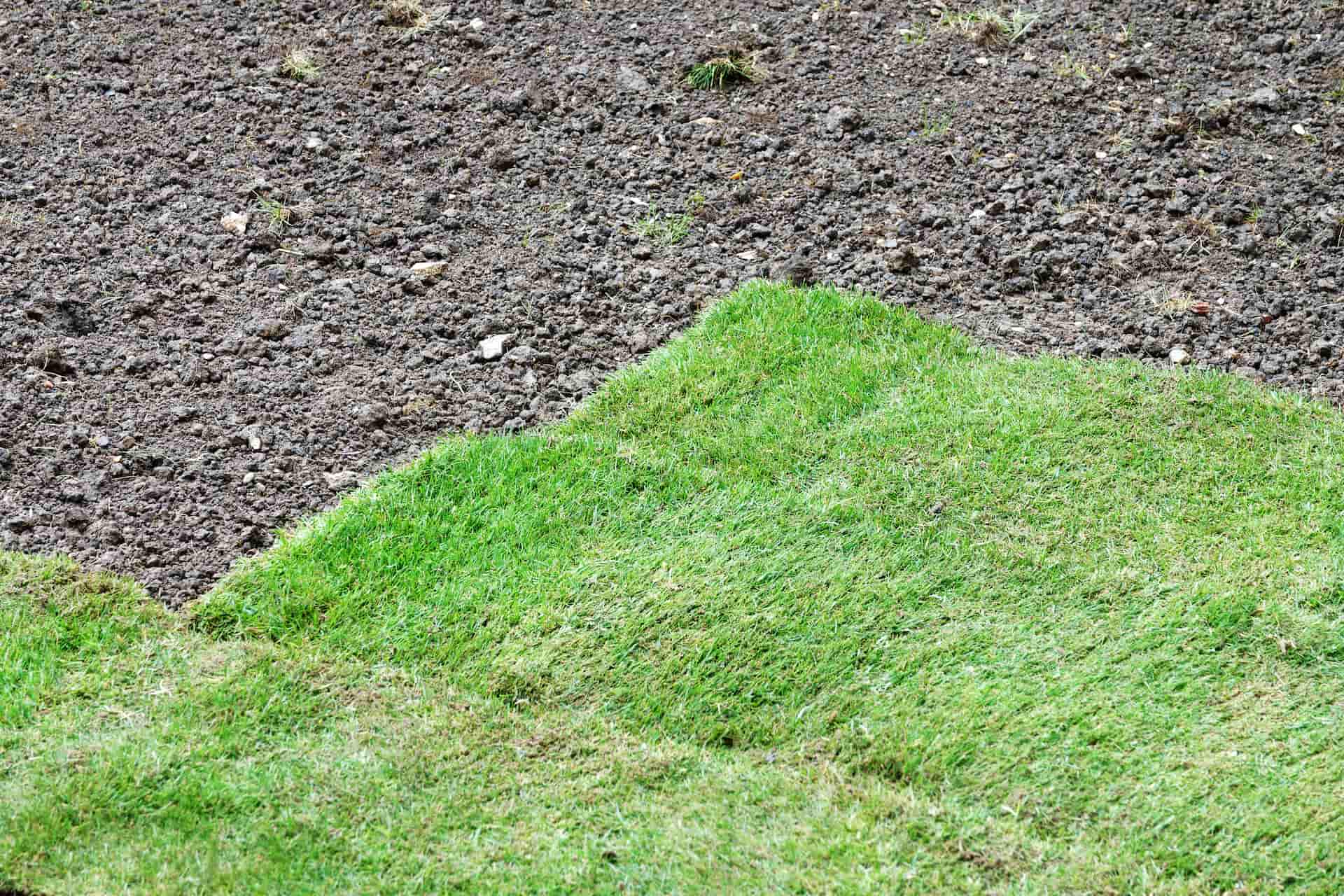 Artificial grass installation West Sussex