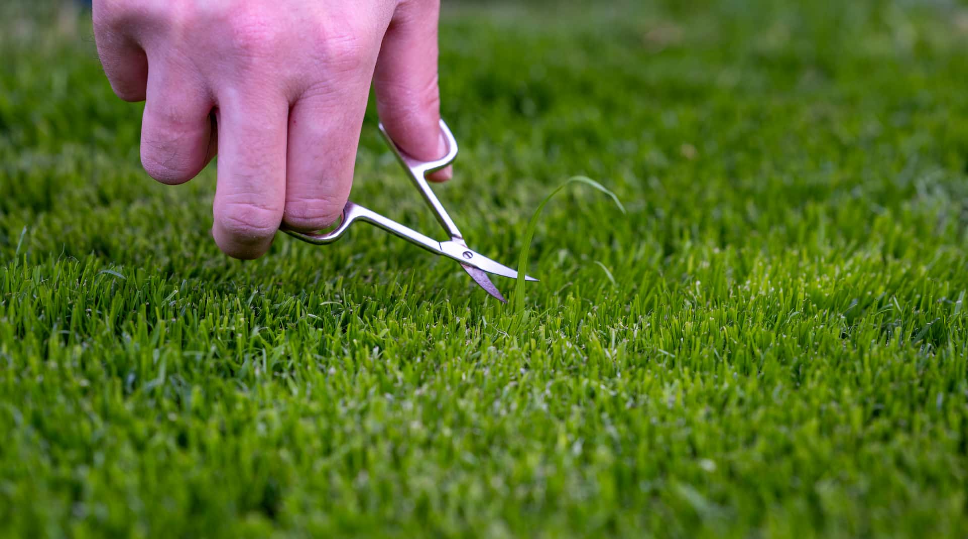 Artificial grass near me Reigate