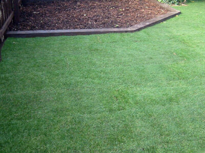 Grass turfing 1 West Sussex