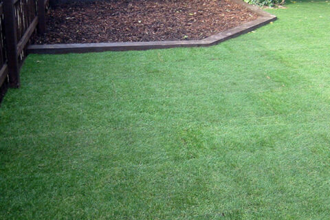 Artificial Grass West Sussex