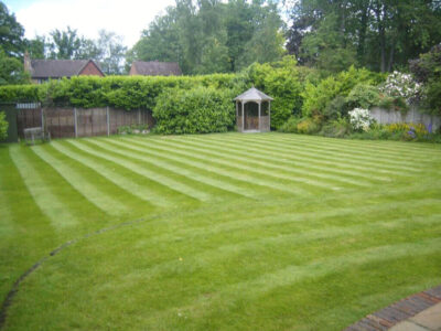 Grass turfing 2 West Sussex
