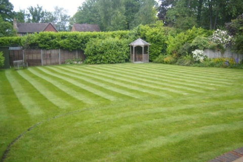 Grass Turf Fitter Bromley
